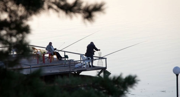 Природа и рыбалка в турбазе Заря